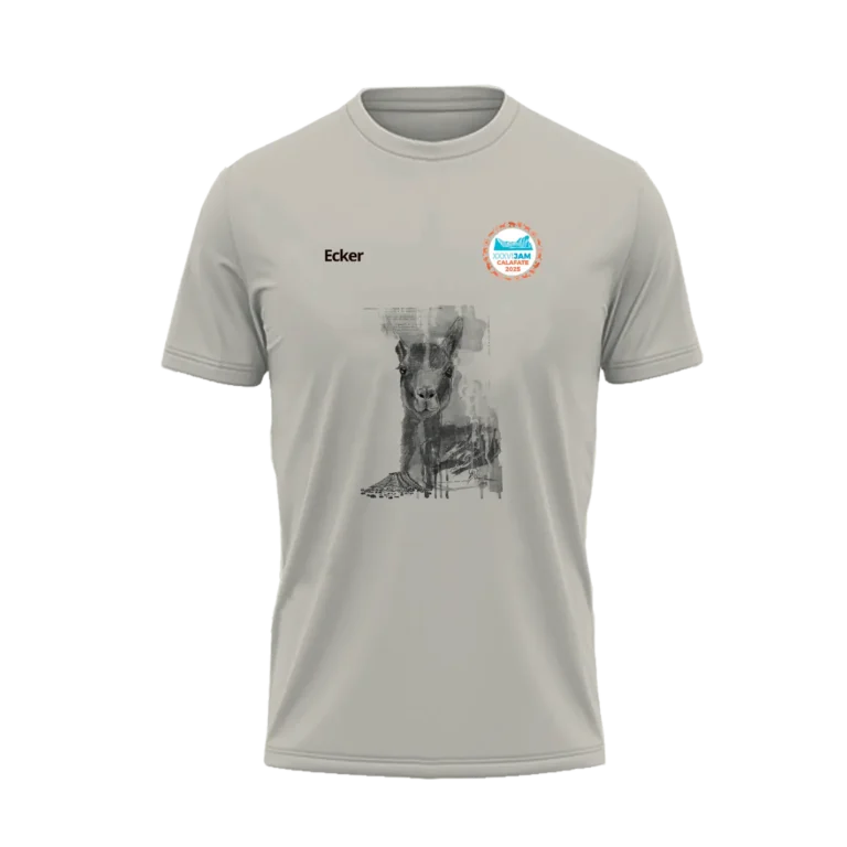 remera2