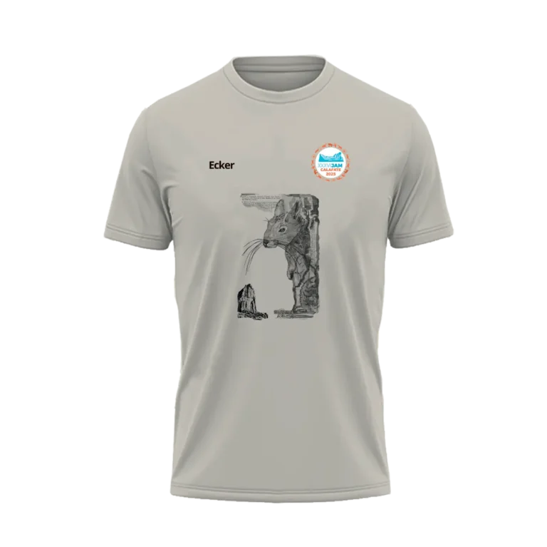 remera3