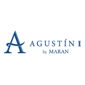 Logo Apoyo 17